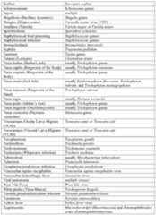 Figure PCTCN2017088033-appb-000022