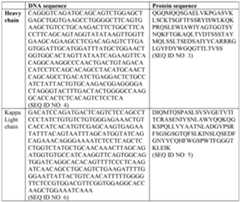 Figure imgf000052_0001