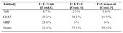 Figure imgf000106_0001