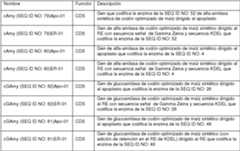 Figure imgf000149_0001