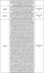 Figure imgf000093_0001