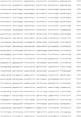 Figure IDA00001750263300991