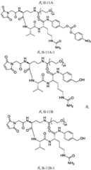 Figure FDA0003674984860000321