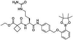 Figure BDA0004113777320001771