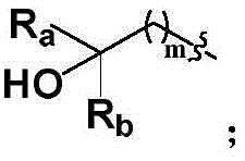 Figure BDA0002170659700000065