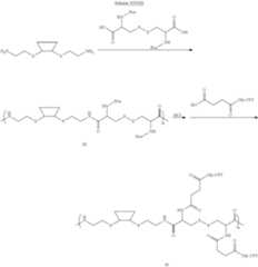 Figure US08475781-20130702-C00051