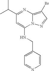 Figure US07119200-20061010-C00019