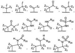 Figure 112009073328792-PCT00004