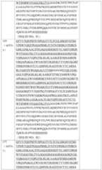 Figure PCTCN2019123555-APPB-000046