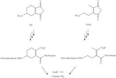 Figure US08658211-20140225-C00025