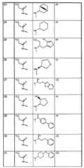 Figure pct00013