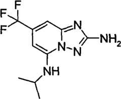 Figure GPA00001035513100602