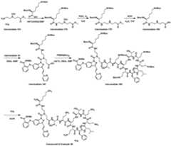 Figure imgf000149_0001