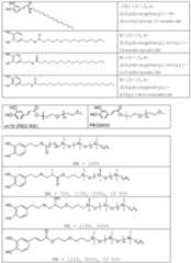 Figure imgf000051_0001