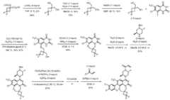 Figure imgf000875_0001