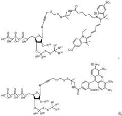 Figure BDA0003670511740001491