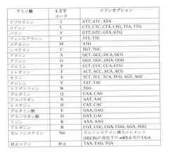 Figure 0007225456000002