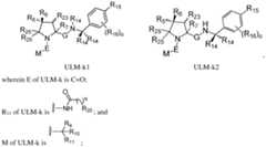 Figure imgf000171_0001