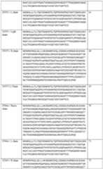 Figure imgf000086_0001