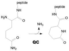 Figure imgf000005_0001