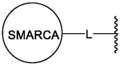 Figure BDA0003783300830000671