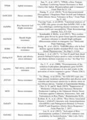 Figure PCTCN2022090268-appb-000077