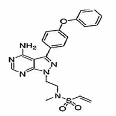 Figure 112009024346709-pct00023