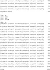 Figure IDA0002728416920000281