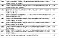 Figure 2022120155000088