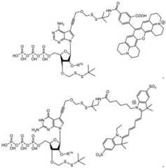 Figure BDA0003670511740002962