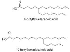 Figure imgf000092_0001