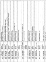 Figure imgf000092_0001