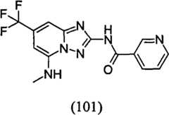 Figure GPA00001035513101072