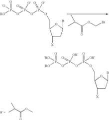 Figure US06399335-20020604-C00002