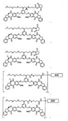 Figure 2022009073000202