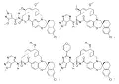 Figure 109138370-A0305-02-0445-83