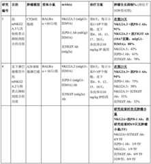 Figure BDA0003164346480001331