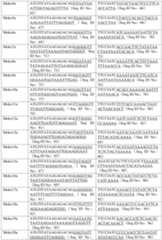 Figure PCTCN2021143948-appb-000012