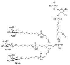 Figure 2023113843000596