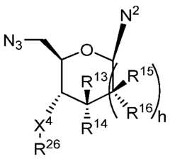 Figure imgf000025_0003