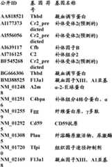 Figure BDA0000057170160002262