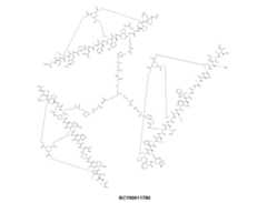 Figure 0007704732000117