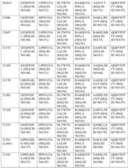 Figure PCTCN2022116860-appb-000045