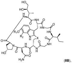 Figure imgf000136_0001