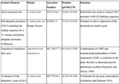 Figure imgf000026_0001