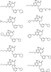 Figure BDA0000075082050002291