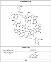 Figure imgf000053_0003