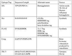 Figure imgf000107_0001