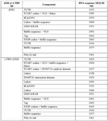 Figure imgf000177_0001