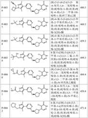 Figure BDA0004010263230001521